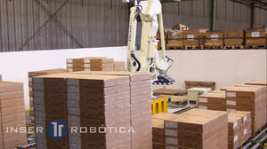 pallettizzatore robotizzato