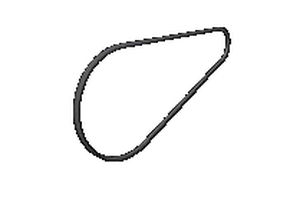 cinghia dentata