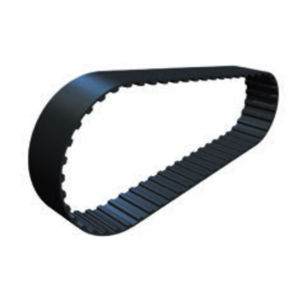 cinghia dentata / in neoprene