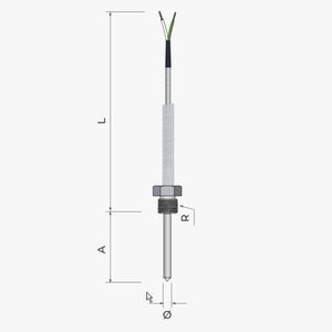 sonda di temperatura RTD