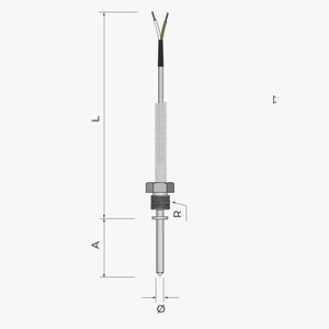 sonda di temperatura RTD 1
