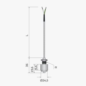 sonda di temperatura RTD
