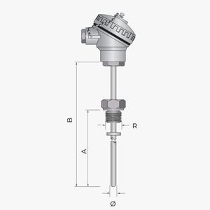 sonda di temperatura RTD