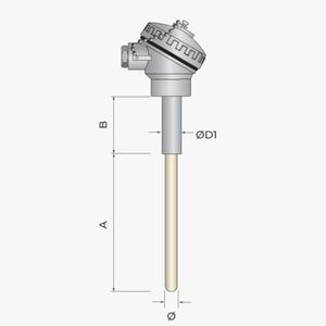 sonda di temperatura RTD
