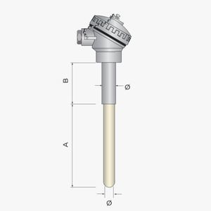 sonda di temperatura RTD