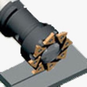 fresa a riccio / ad inserti amovibili / per scanalare / a 2 denti