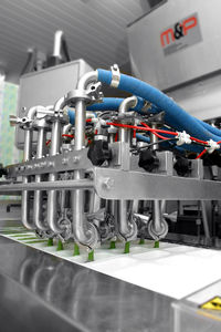 colatrice multitesta