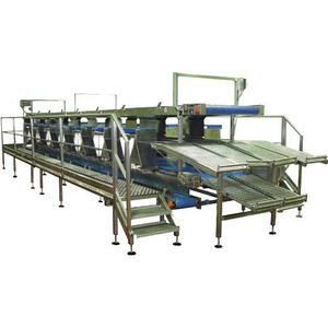 tavolo di cernita per l'industria alimentare