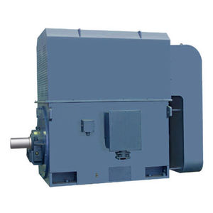 motore AC / sincrono / IP44 / IP54