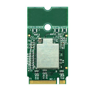 modulo wireless WiFi 1
