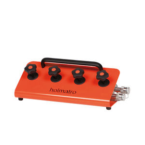 manifold a 4 vie