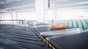 nastro trasportatore flessibile 1
