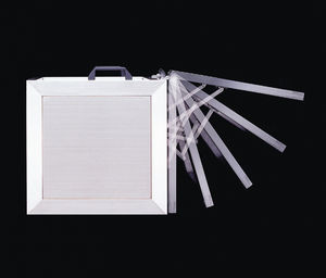 ammortizzatore per porta rotativo