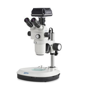 stereomicroscopio digitale
