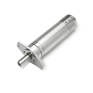 motore pneumatico a paletta 1
