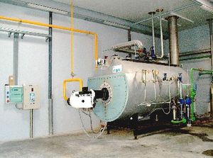 generatore di vapore a tubi di fumo