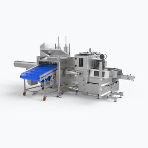 insaccatrice alimentare automatica