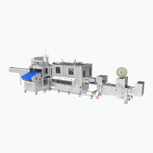insaccatrice alimentare automatica