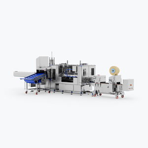 insaccatrice alimentare automatica