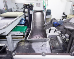 sbavatrice interamente automatica