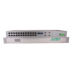 switch Ethernet non gestibile