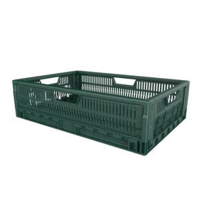 cassa-pallet in plastica