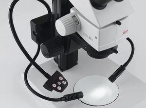 lampada portatile LED