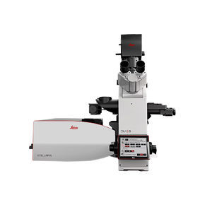 microscopio ottico 1