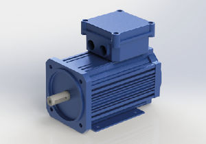 motore AC / asincrono / ad alto rendimento / IP54