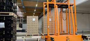 navetta di trasferimento per pallet