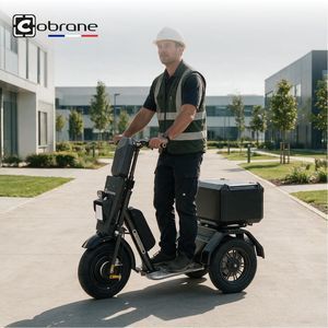 transporter a 3 ruote