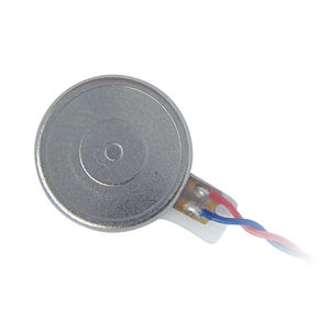 motore piatto 1