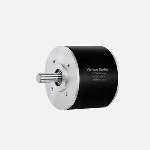 motore brushless