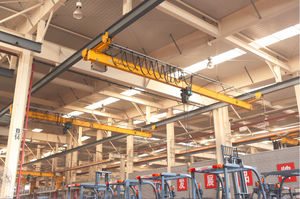 carroponte monotrave