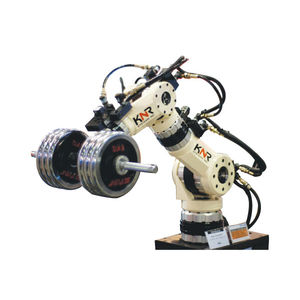 robot articolato / di manutenzione / a pavimento