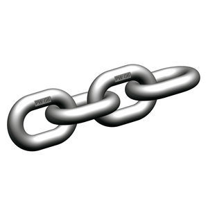 catena di sollevamento in acciaio inossidabile