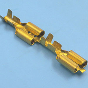 capocorda 1