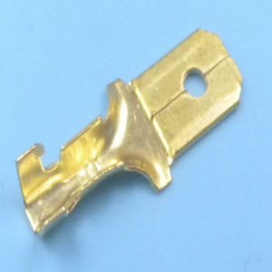 capocorda 1