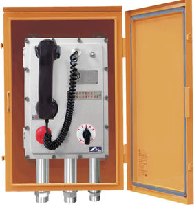 telefono IP66 1