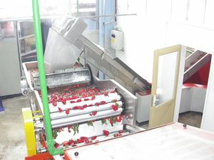 macchina di lavaggio soffiatrice