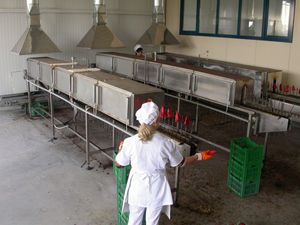 forno a tunnel