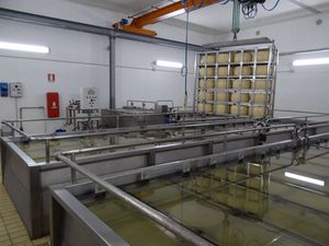 sistema di salamoia del formaggio