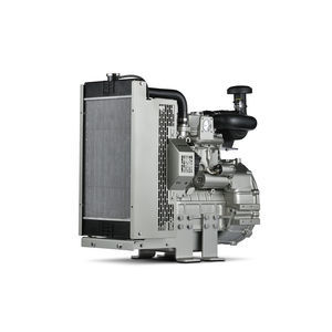 motore diesel 1