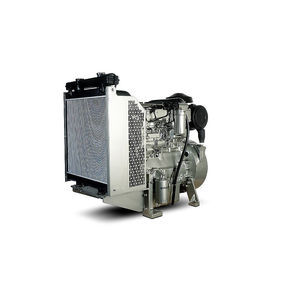 motore diesel 1