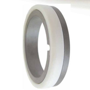 anello di tenuta PTFE