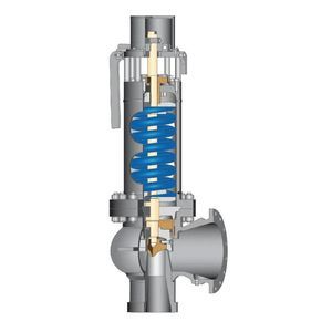 valvola limitatrice di pressione a gas 1
