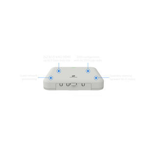 access point LAN