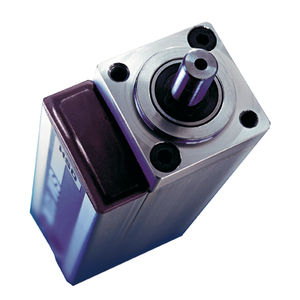 servomotore brushless