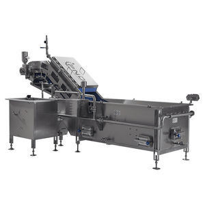 linea di lavaggio alimentare per agrumi 1