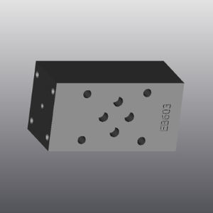 manifold multicanale